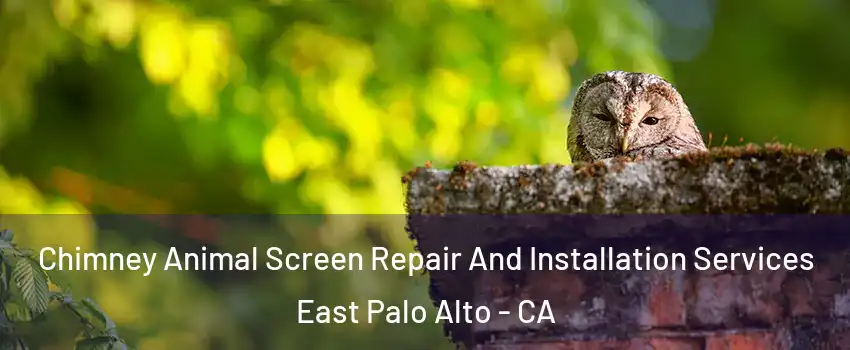  Chimney Animal Screen Repair And Installation Services East Palo Alto - CA