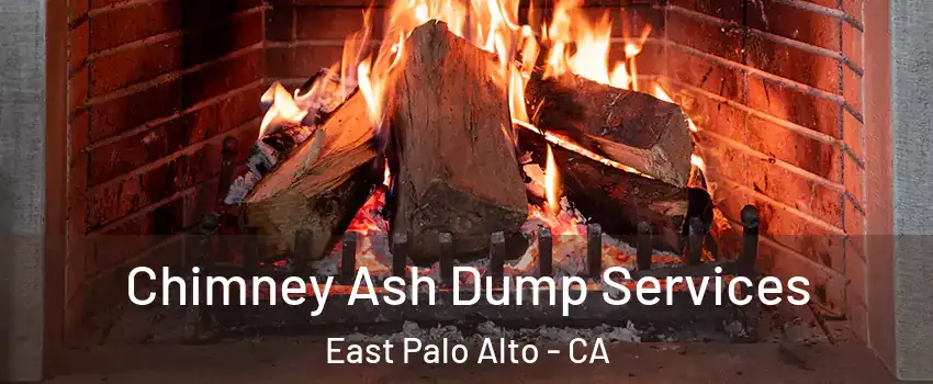  Chimney Ash Dump Services East Palo Alto - CA