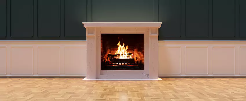 Napoleon Electric Fireplaces Inspection Service in East Palo Alto, California