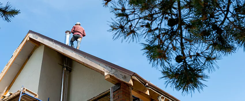 Birds Removal Contractors from Chimney in East Palo Alto, CA