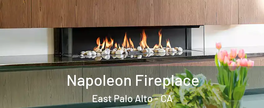  Napoleon Fireplace East Palo Alto - CA