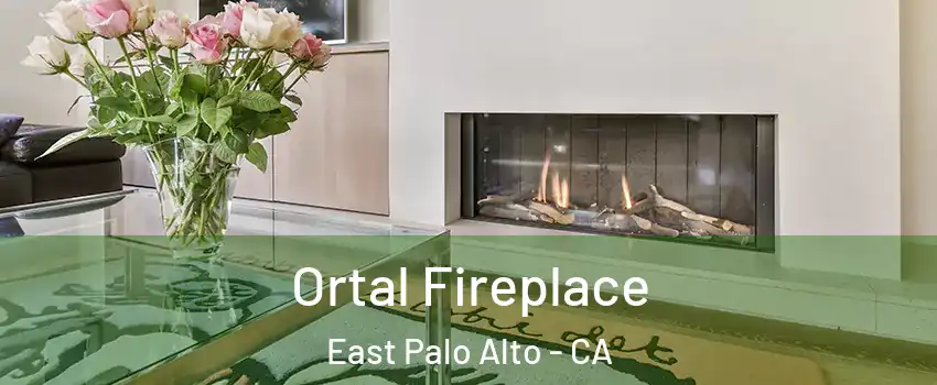 Ortal Fireplace East Palo Alto - CA
